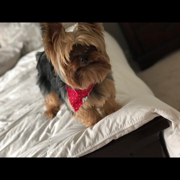 madisonh1230